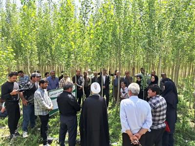 كارگاه آموزشی زراعت چوب صنوبر در اردبیل برگزار شد